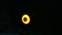 Peeper