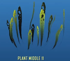 Plant Middle 11.png