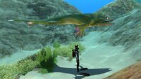 Size comparison with the player