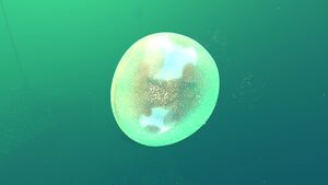 The Orb.jpg