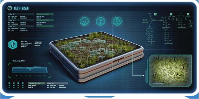 IndoorGrowbedEncy (BZ).png