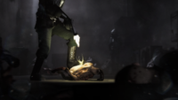 "Infestation"