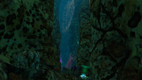 A narrow crevice within the biome