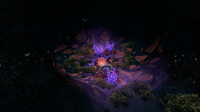 Lots of Flora in the Dunes Caves