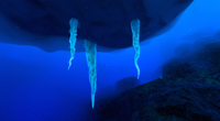 A few brinicles found in the Sparse Arctic