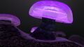 An example of the Snake Mushroom