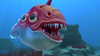 Close up shot, showing many sharp teeth inside its mouth.