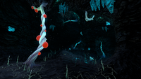 Blood Kelp Caves.png