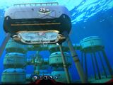 Cactorbase.jpeg