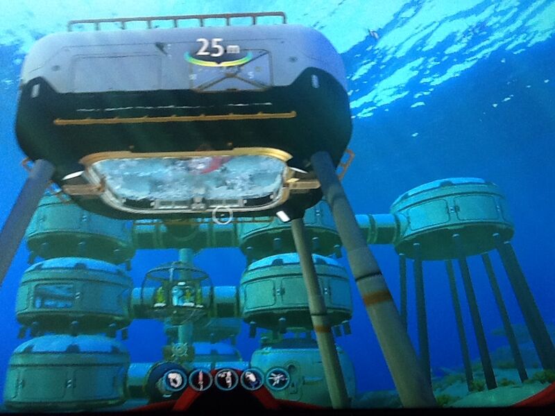 File:Cactorbase.jpeg