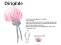 Thumbnail for version as of 23:54, 19 April 2018