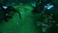 Blood Crawlers in the Ghost Forest