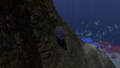 Thumbnail for version as of 14:13, 22 April 2017