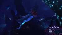 14 of 14, Series 1 Squidshark