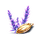 Violet Beau Seed Icon.png