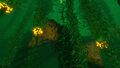 The Creepvine plants and green water of the Kelp Forest