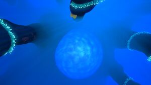 2016-02-10 00032.jpg