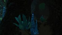 A cave at the back