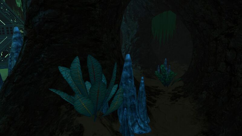 File:Bulb Zone Cache (9).jpg