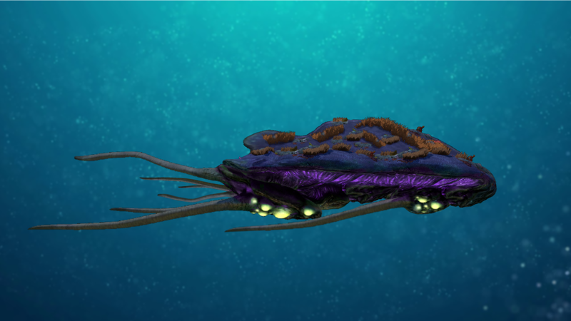 File:Elder reefback.png