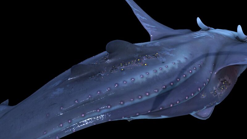 File:Glow Whale 4.jpg