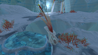 In the Glacial Basin