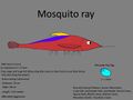 Mosquito Ray Concept "mosquito Raio"