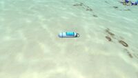 A Time Capsule in the Safe Shallows