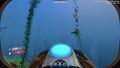Border of a Kelp Forest