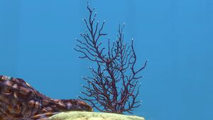 2015-05-05 00190.jpg