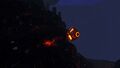 A Lava Eyeye in the its natural habitat
