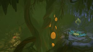 Bloodroot2.jpg