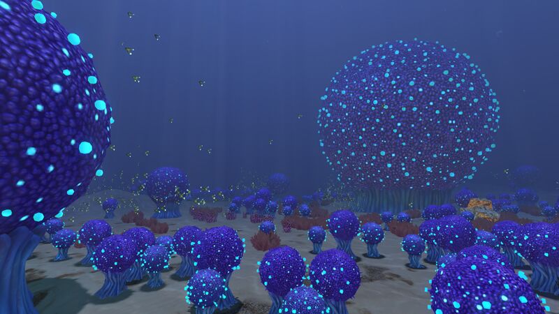 File:Bulb Zone (2).jpg