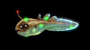 Infected Blighter (Black).jpg