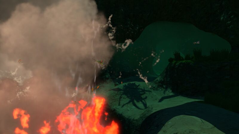File:Kelp Forest Caves (4).jpg