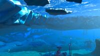 An area of the Shallow Twisty Bridges blending with the Ice Shelf
