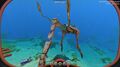 Thumbnail for version as of 00:31, 13 March 2017