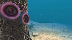 Tree Leech (3).jpg