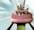 Thumbnail for version as of 07:34, 9 October 2016