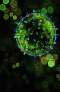 Biological Art.png