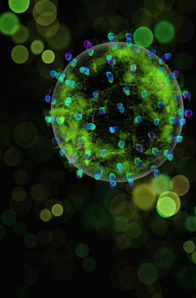 File:Biological Art.png