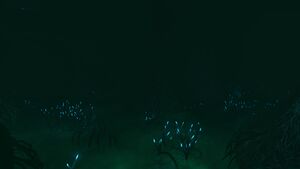 CanyonOverview.jpg