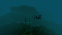 The western side of the Crashed Ship segment.