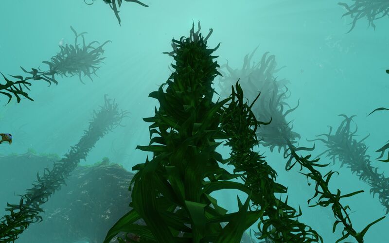 File:Life-form creepvine.jpg