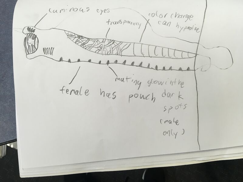File:Lost river concept.jpeg
