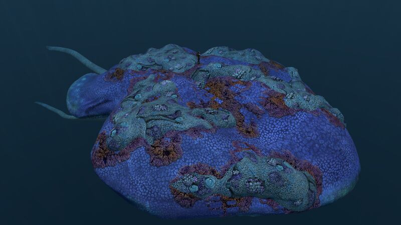 File:ReefbackSizeref.jpg