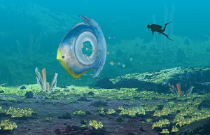 Titan Holefish Poster.png