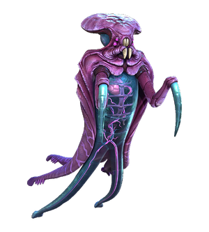 Warper Fauna.png