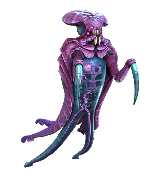 File:Warper Fauna.png