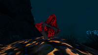 Ditto, in the grand reef at night.